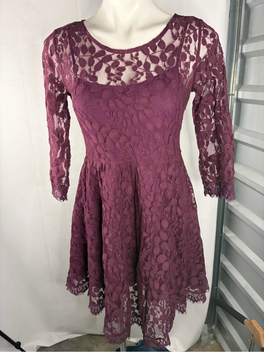 Free People Plum Lace Fit-and-Flare Long Sleeve Dress